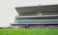 【JRA】新潟競馬場の入場取りやめ、新型コロナウイルス感染拡大の傾向鑑み