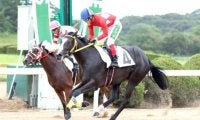 【地方競馬】佐賀競馬の手島勝利調教師が通算1000勝達成