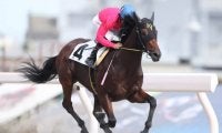 【シャイニングヒーロー賞】トゥザワールド産駒ヴァヴィロフが5馬身差圧勝！ 桜井光輔騎手「この先重賞でも」