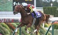 定量GII札幌記念＆ハンデGIII北九州記念に注目/今週の競馬界の見どころ