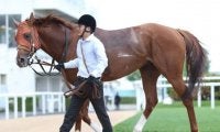 【札幌記念展望】夏競馬最大のレース、あの馬の巻き返しを期待したい