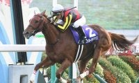 【札幌記念 想定騎手】ラッキーライラックはM.デムーロ騎手、ノームコアは横山典弘騎手
