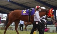 【読売レディス杯レース予想】ダートグレード馬・アークヴィグラス、久々の勝利へ/NARレース展望