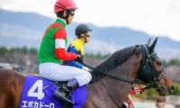 【JRA】エポカドーロが登録抹消、アロースタッドで種牡馬に