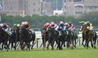 【北九州記念前日オッズ】モズスーパーフレアが3.3倍で1番人気