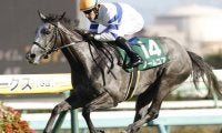 【札幌記念予想】久しぶりの中距離戦が楽しみなノームコア/JRAレース展望