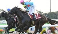 GIIIキーンランドC＆新潟2歳Sに注目/今週の競馬界の見どころ