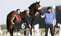 【先週のJRA抹消馬】日本ダービー3着コズミックフォース、ファルコンS3着アルマエルナトなど