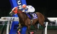 【門別競馬情報】盛夏の門別ナイターも残り2夜。来季は「超快適ナイター」を楽しんでいただけますようにーー。「一般社団法人東京馬主協会特別」/地方競馬情報