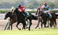 【北九州記念】レッドアンシェルが差し切る！重賞2勝目