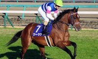 【新潟記念想定】重賞3勝馬カデナ、3歳馬ワーケア、中日新聞杯覇者サトノガーネットなど19頭