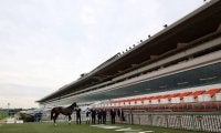 9月の中央競馬の開催等について