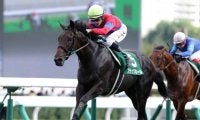 ブラックホールは菊花賞へ直行