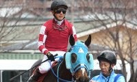 【次走】オジュウチョウサンは京都ジャンプSへ、石神深一騎手の復帰待つ