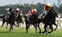 【新馬/新潟5R】ブラックタイド産駒 ブラックラテが2馬身差完勝！