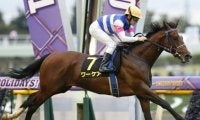【新潟記念見どころ】3歳馬ワーケアが重賞初制覇を狙う