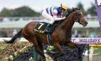 【新潟記念予想オッズ】3歳馬ワーケアが予想1番人気