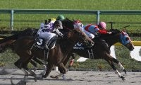 【先週のJRA抹消馬】オープン馬ルヴァンスレーヴ、ルグランフリソン、サフランハートなど