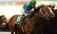 【JRA】ブレスジャーニーが地方競馬移籍へ、2016年東スポ杯2歳Sなど重賞2勝