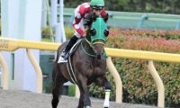 【門別競馬情報】4連勝で重賞Vソロユニットの父アジアエクスプレス、門別で躍進中！今夜メイン12Rは「日高軽種馬青年部連合会特別」/地方競馬情報