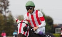 武豊騎手 今週の騎乗馬