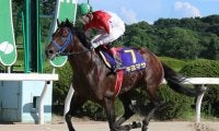 【霧島賞】“九州産馬の天皇賞”レース4度目の勝利を狙うキヨマサは7枠8番、幸英明騎手とコンビのダンツブライトは3枠3番