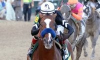 【米・ケンタッキーダービー】売上は7940万ドルで前年比52%ダウン