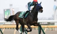セントライト記念は夏の上がり馬２頭で決まり。血統も中山向きでバッチリだ