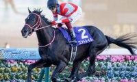 無敗の2冠馬始動 GII神戸新聞杯＆オールカマー/今週の競馬界の見どころ