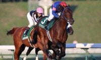 【盛岡・ジュニアグランプリ結果】マツリダスティール快勝、4年ぶりの地元馬V