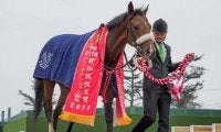【セントライト記念・馬体重】サトノフラッグは486kg(-2)、ガロアクリークは502kg(+4)