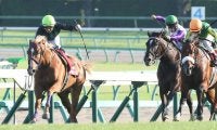 【セントライト記念】バビットが4連勝！逃げ切りで重賞2勝目