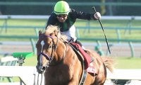 【セントライト記念】内田博「フロック気味に思われていた」バビットが4連勝！