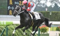 【神戸新聞杯展望】菊花賞の最重要ステップレース、注目はあの馬