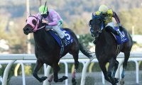 【神戸新聞杯 出走馬決定順】無傷三冠目指すコントレイルなど、フルゲート18頭に登録18頭