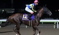 【シリウスS想定】ユニコーンS覇者カフェファラオ、JDD2着ダイメイコリーダなど強豪3歳馬が参戦予定
