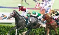 【次走】ウインブライトが天皇賞・秋で復帰へ、昨年香港G1・2勝