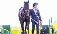 【神戸新聞杯 15時時点オッズ】コントレイルが単勝1.1倍の断然人気、グランデマーレが16.2倍で続く