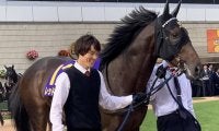【JRA】レッドジェニアルは鼻出血のため京都大賞典を回避