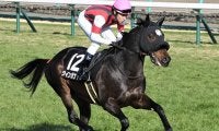 【先週のJRA抹消馬】重賞2着馬マイネルサージュ・ウインガナドル、若駒S2着マイハートビートなど
