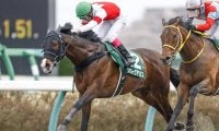 【シリウスS】フルゲート16頭に18頭　賞金上位に水曜出走の馬も/出走馬決定順