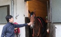 【海外競馬】アマレナ 武豊騎手と昨年以来のコンビ