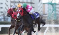 【ベイスプリント予想】アドマイヤムテキ、良績残す1400mで重賞2勝目へ/NARレース展望