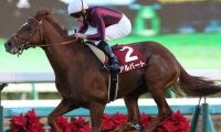 【京都大賞典 出走馬決定順】久々の長距離馬3頭などフルゲート18頭が登録