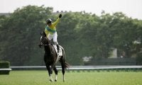 名牝ウオッカの仔セブンポケッツが8日の未勝利戦にエントリー　英チェルムスフォード競馬場