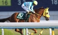 【門別競馬情報】転入4連勝で「道営記念」に王手かルールソヴァール！復権果たせるかスーパーステション「第53回瑞穂賞H2」/地方競馬情報