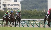 【新馬/中京5R】クインズラベンダーが人気に応える
