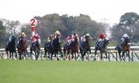 【天皇賞秋想定】アーモンドアイ、クロノジェネシス、ウインブライトなどGI馬7頭含む12頭