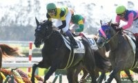 菊花賞馬ワールドプレミアは15日帰厩、ジャパンCへ
