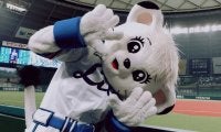 着ければ「とーってもキュート」西武がマスコットのライナに“変身”マスクを発売